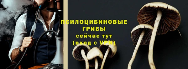 эйфоретик Алексин