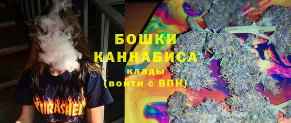сатива Алзамай