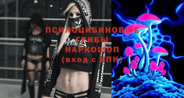 эйфоретик Алексин