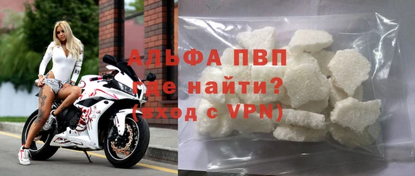 сатива Алзамай