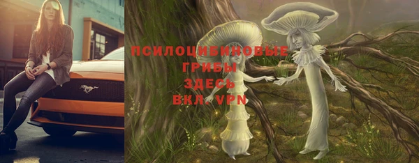 спайс Осташков
